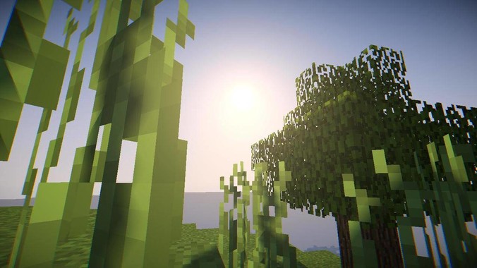 孔雀鱼的种类是如何划分等级的呢？